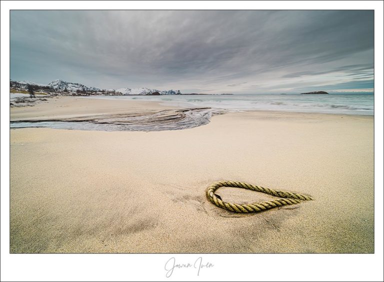 Northern beach life